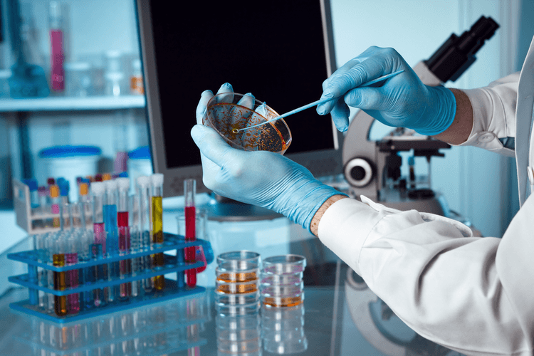 Biotechnology industry img
